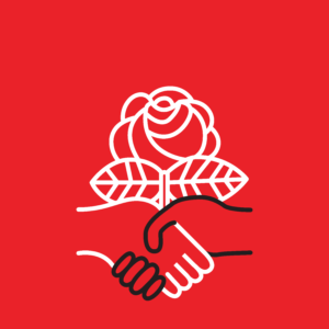dsa logos examples 01 300x300 1
